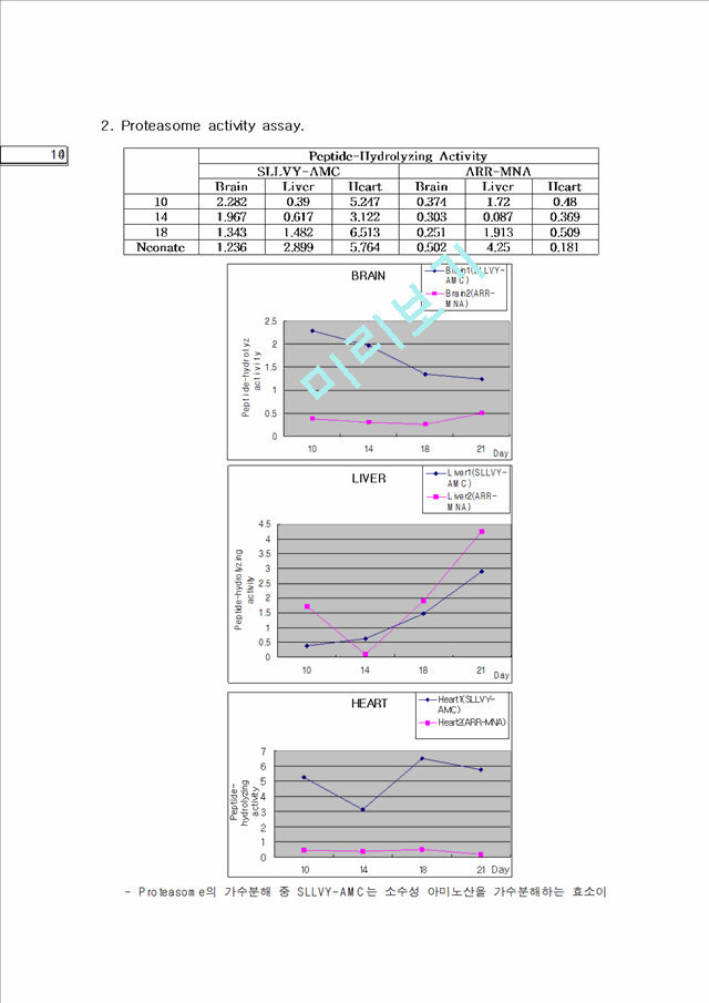 Protein determination and Proteasome activity assay   (7 )